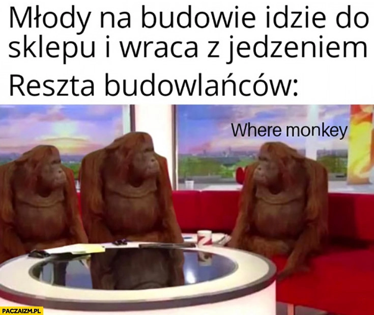 
    Młody na budowie idzie do sklepu i wraca z jedzeniem reszta budowlańców where monkey gdzie małpka