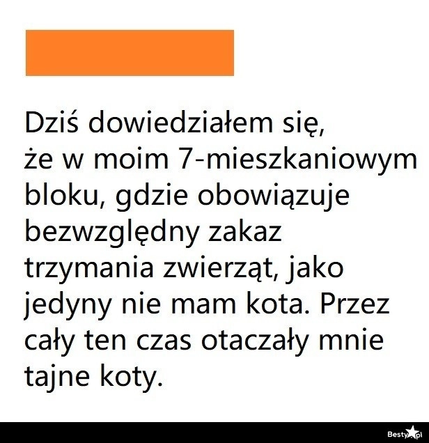 
    Blok bez zwierząt 