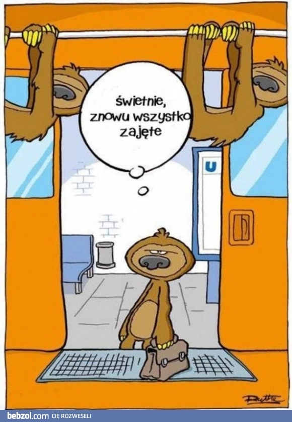 
    Znów wszystko zajęte