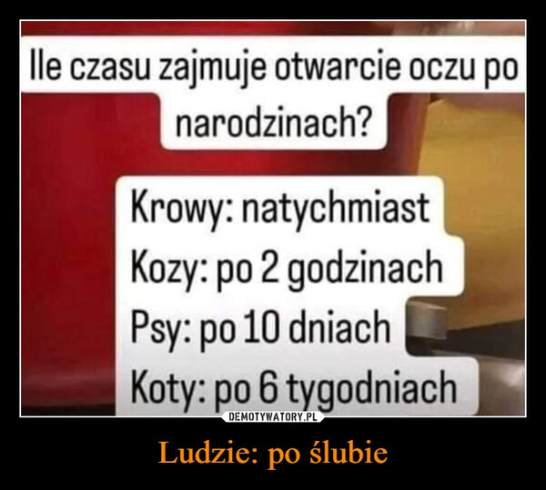 
    Ludzie: po ślubie