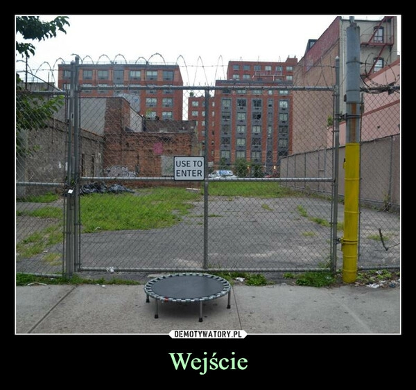 
    
Wejście 