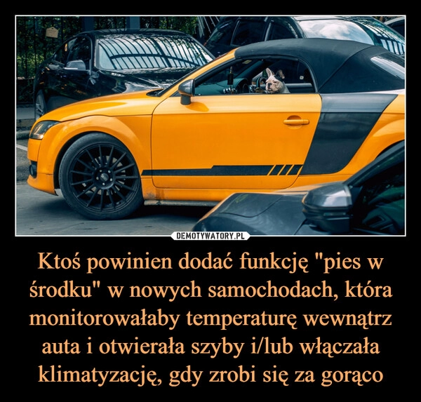 
    Ktoś powinien dodać funkcję "pies w środku" w nowych samochodach, która monitorowałaby temperaturę wewnątrz auta i otwierała szyby i/lub włączała klimatyzację, gdy zrobi się za gorąco