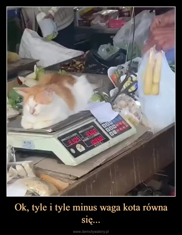 
    Ok, tyle i tyle minus waga kota równa się...