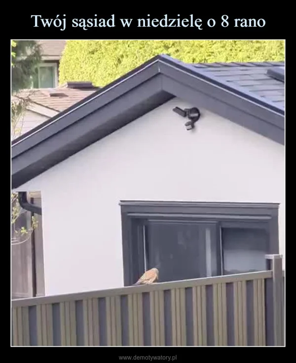 
    Twój sąsiad w niedzielę o 8 rano