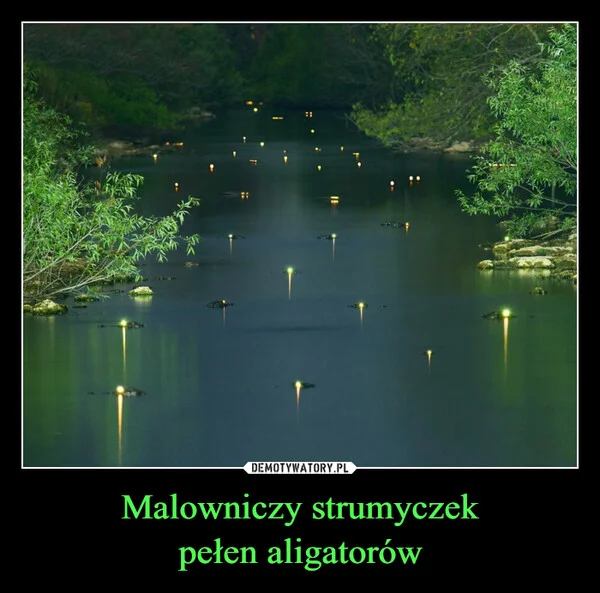
    Malowniczy strumyczek pełen aligatorów