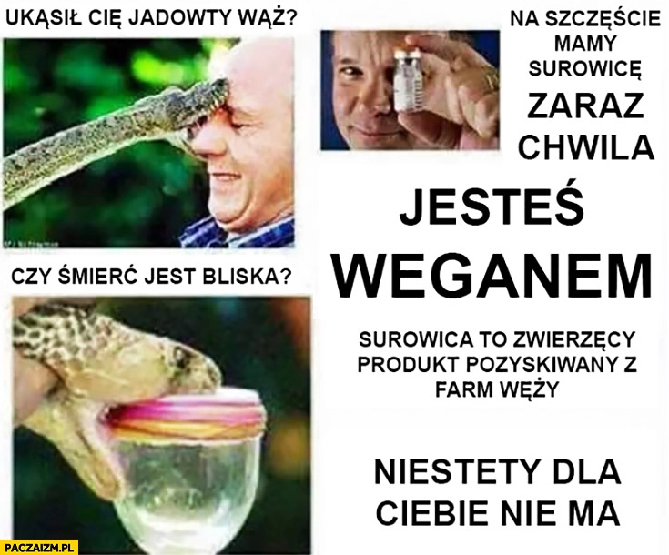 
    Ukąsił Cię jadowity wąż na szczęście mamy surowicę, zaraz chwila jesteś weganem niestety dla Ciebie nie ma