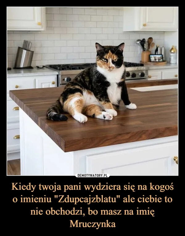 
    Kiedy twoja pani wydziera się na kogoś o imieniu 