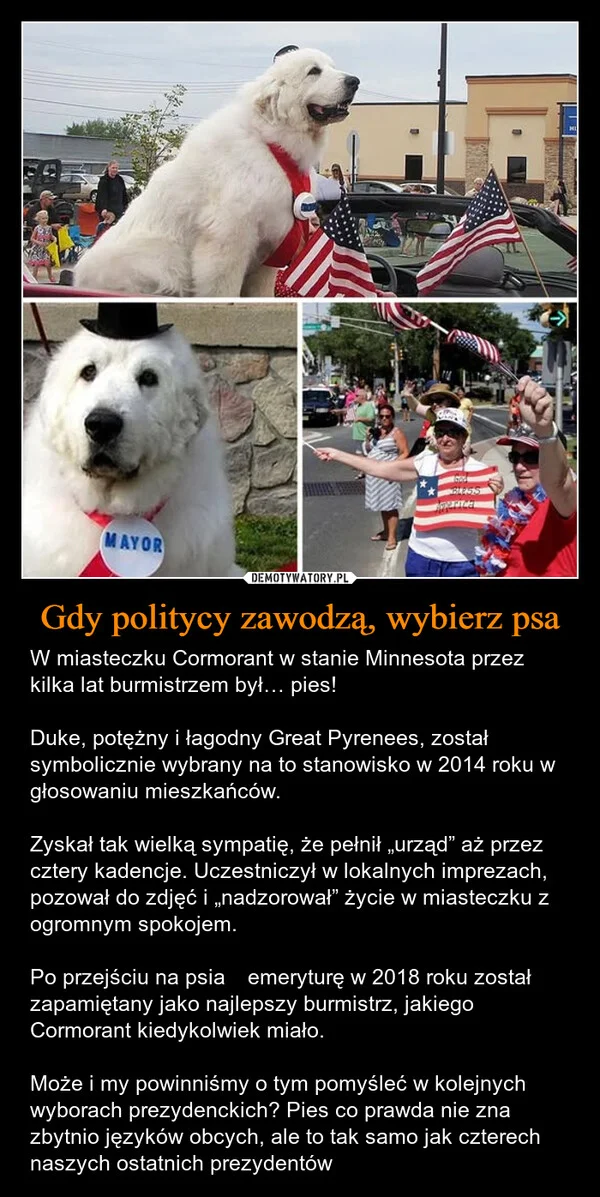
    Gdy politycy zawodzą, wybierz psa