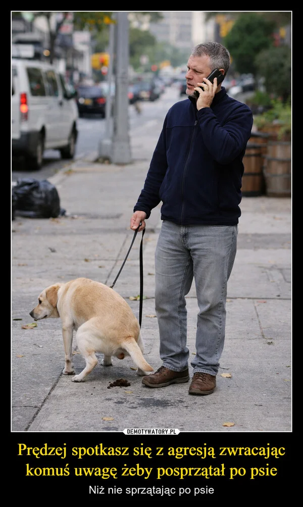 
    Prędzej spotkasz się z agresją zwracając komuś uwagę żeby posprzątał po psie