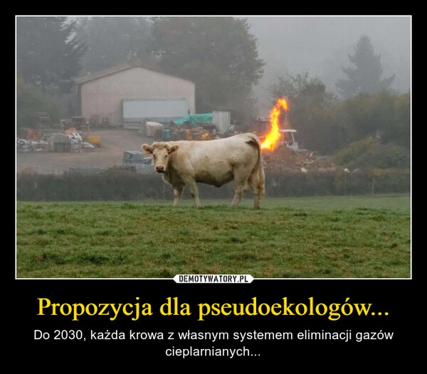 
    Propozycja dla pseudoekologów...