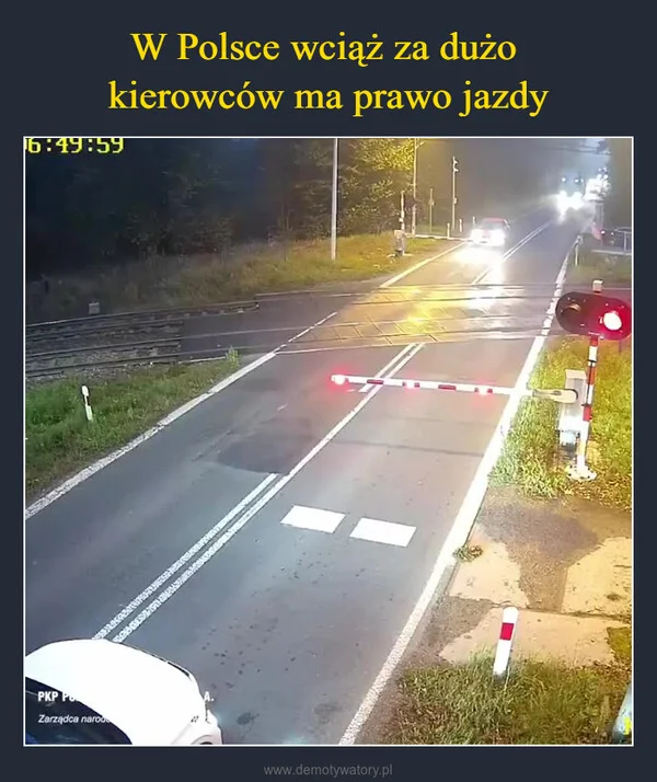 
    W Polsce wciąż za dużo kierowców ma prawo jazdy