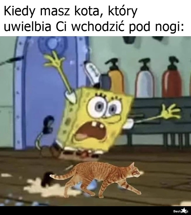 
    Za każdym razem 