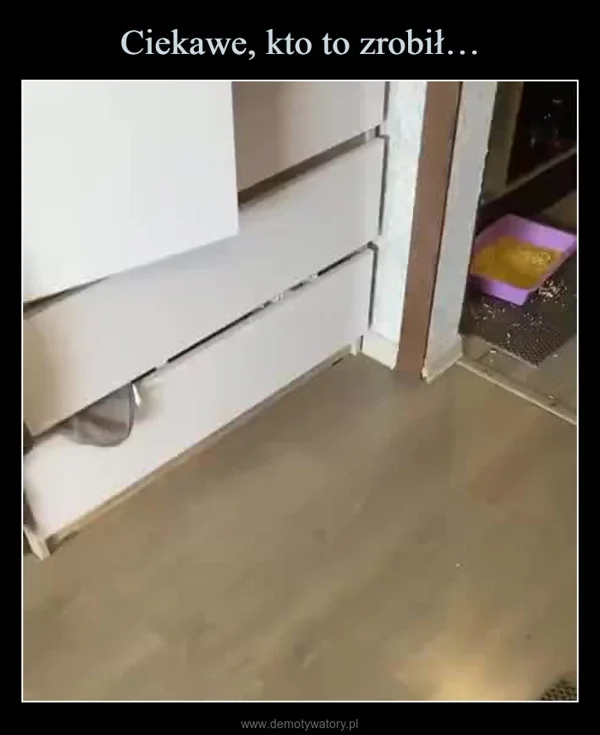 
    Ciekawe, kto to zrobił…