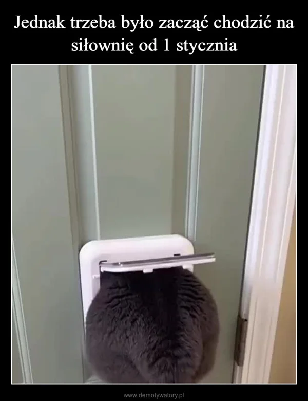 
    Jednak trzeba było zacząć chodzić na siłownię od 1 stycznia