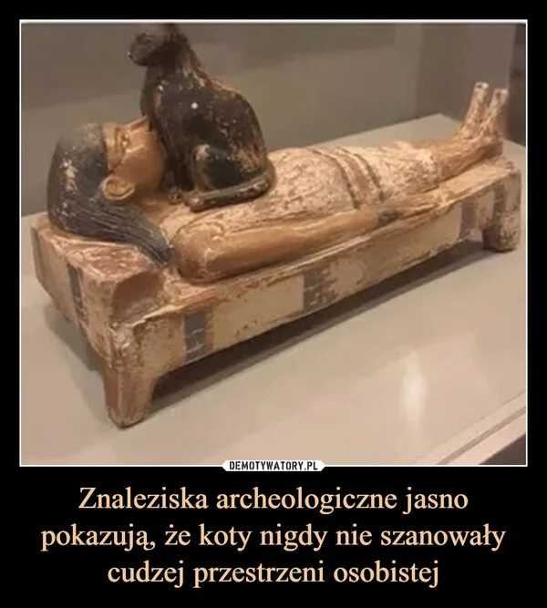 
    Znaleziska archeologiczne jasno pokazują, że koty nigdy nie szanowały cudzej przestrzeni osobistej