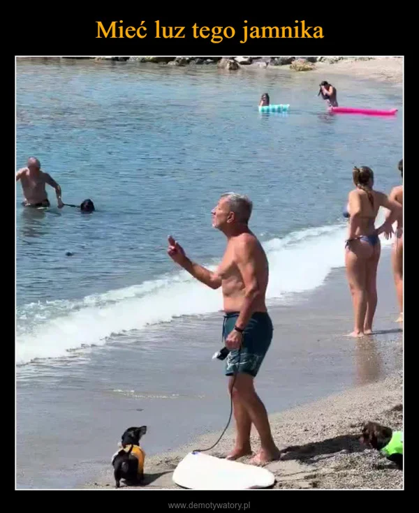 
    Mieć luz tego jamnika