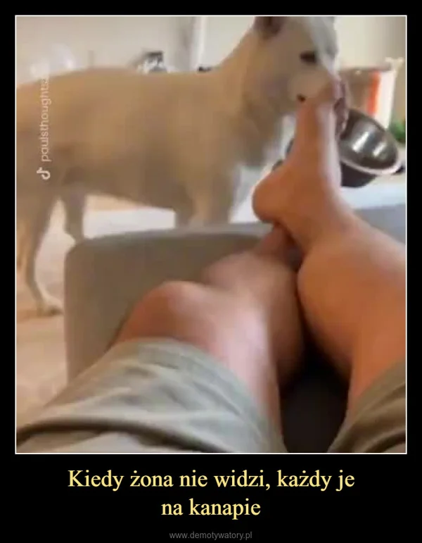 
    Kiedy żona nie widzi, każdy je na kanapie