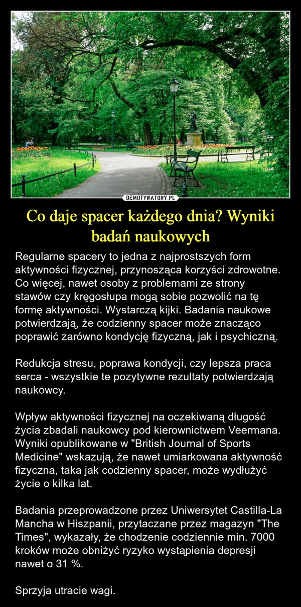 
    Co daje spacer każdego dnia? Wyniki badań naukowych
