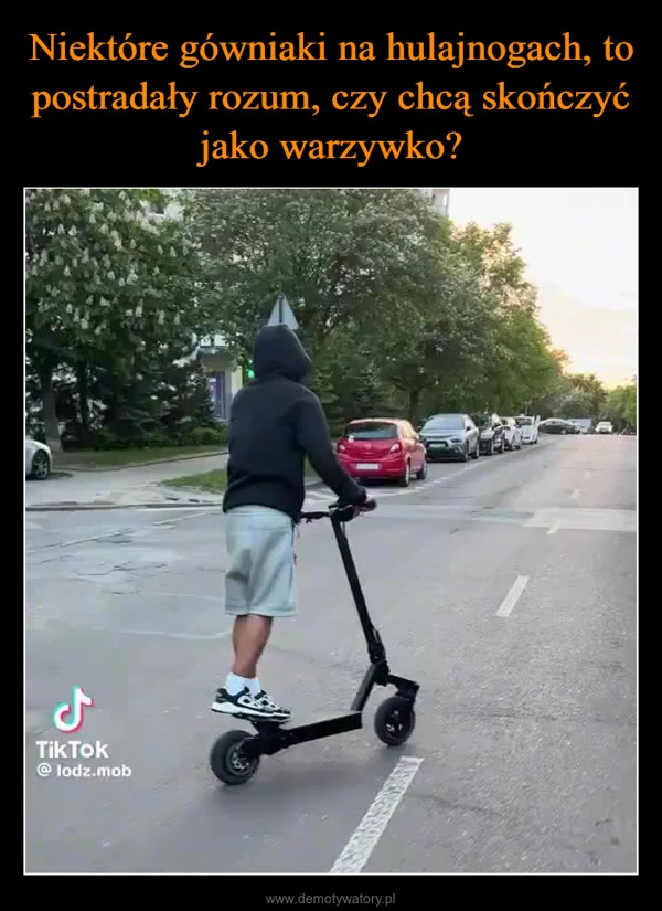 
    Niektóre gówniaki na hulajnogach, to postradały rozum, czy chcą skończyć jako warzywko?