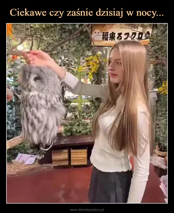 
    Ciekawe czy zaśnie dzisiaj w nocy...