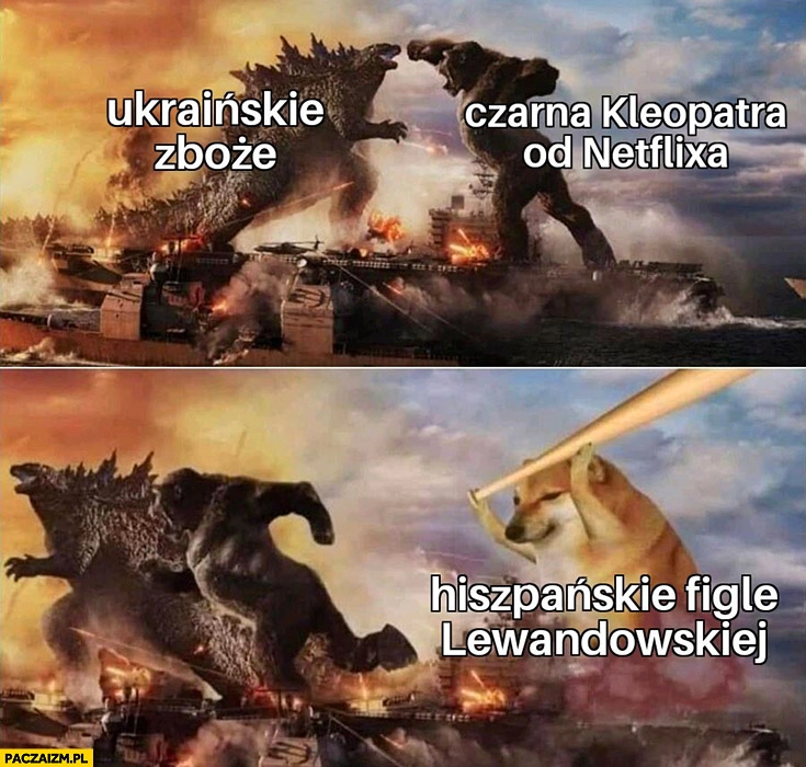 
    Afery ukraińskie zboże, czarna Kleopatra od Netflixa, hiszpańskie figle Lewandowskiej wygrywają pies pieseł doge