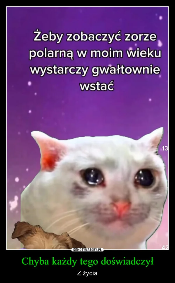 
    Chyba każdy tego doświadczył