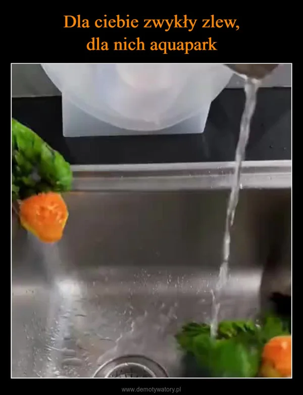 
    Dla ciebie zwykły zlew, dla nich aquapark