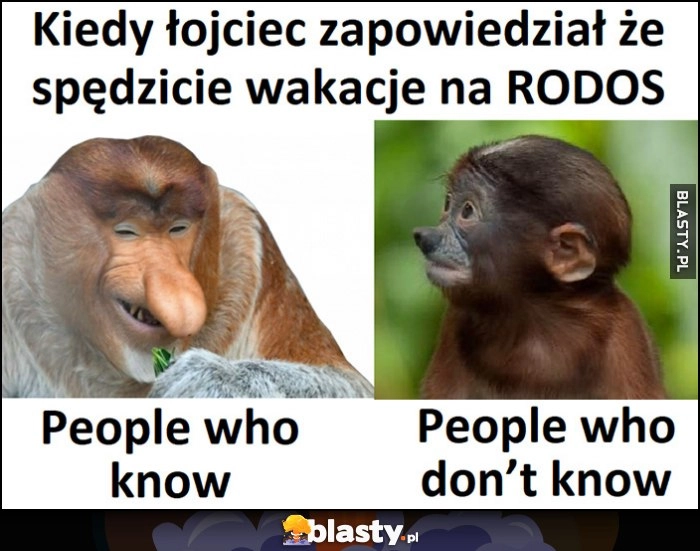 
    Kiedy łojciec zapowiedział, że spędzicie wakacje na RODOS, ci co wiedzą małpa nosacz, ci co nie wiedzą Pioter