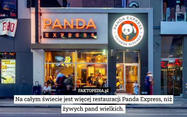 
    Na całym świecie jest więcej restauracji Panda Express, niż żywych pand