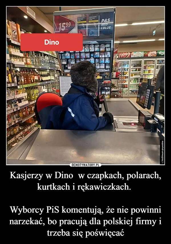 
    Kasjerzy w Dino w czapkach, polarach, kurtkach i rękawiczkach. Wyborcy PiS komentują, że nie powinni narzekać, bo pracują dla polskiej firmy i trzeba się poświęcać