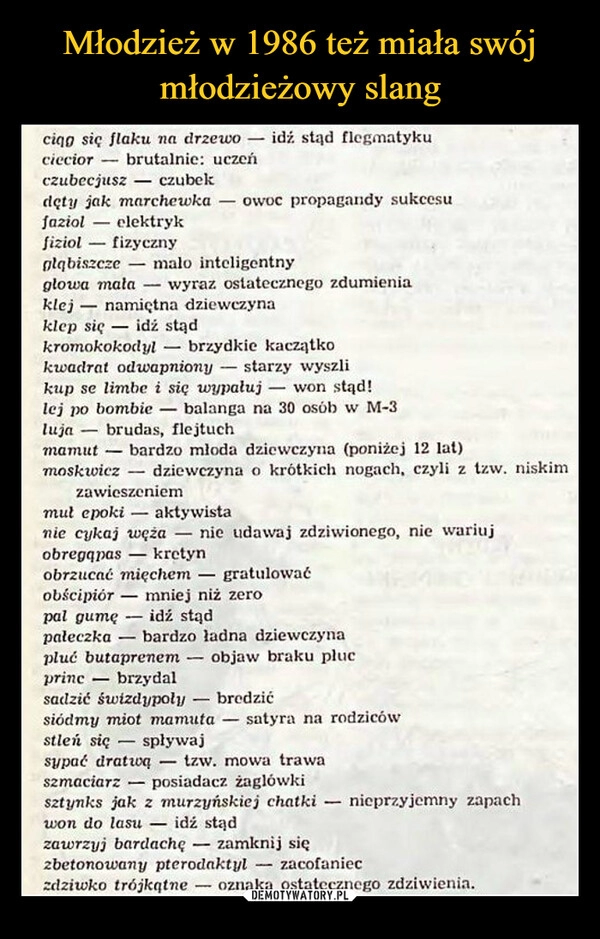 
    Młodzież w 1986 też miała swój młodzieżowy slang