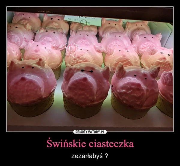 
    Świńskie ciasteczka