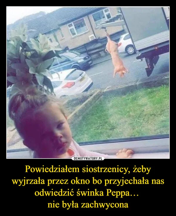 
    Powiedziałem siostrzenicy, żeby wyjrzała przez okno bo przyjechała nas odwiedzić świnka Peppa… nie była zachwycona