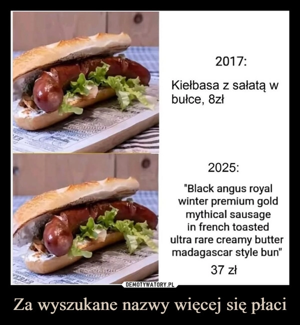 
    Za wyszukane nazwy więcej się płaci