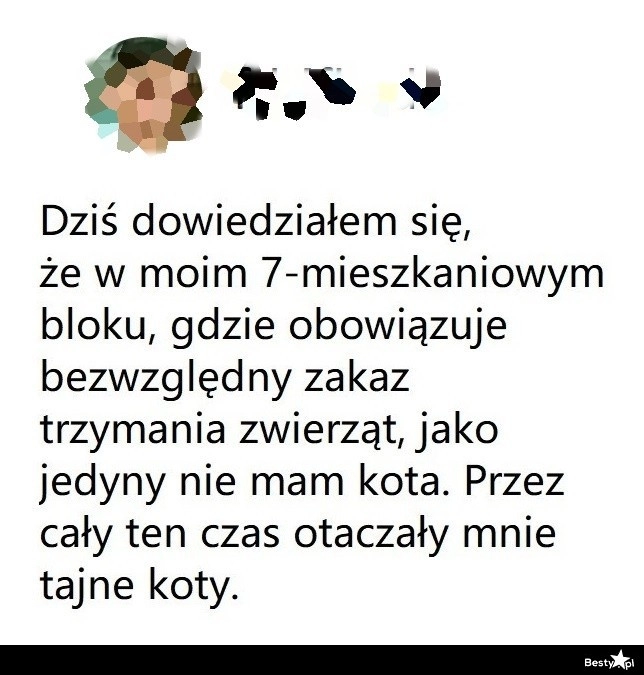 
    Blok bez zwierząt 