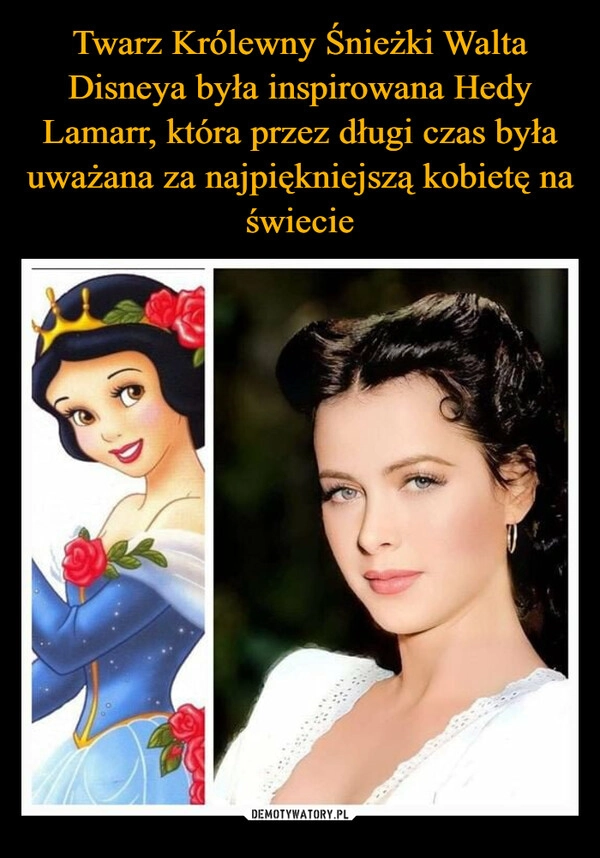 
    Twarz Królewny Śnieżki Walta Disneya była inspirowana Hedy Lamarr, która przez długi czas była uważana za najpiękniejszą kobietę na świecie