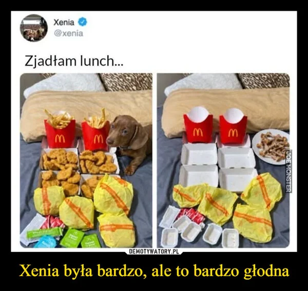 Xenia była bardzo, ale to bardzo głodna