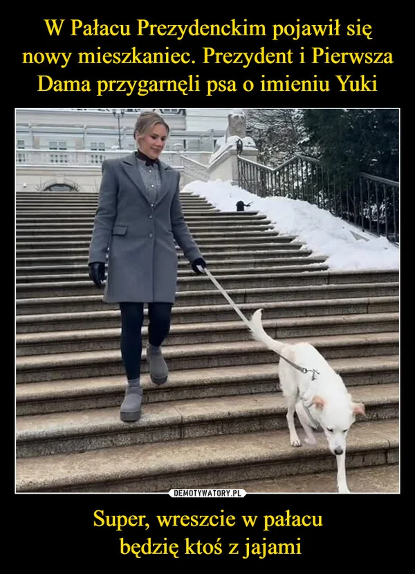 
    W Pałacu Prezydenckim pojawił się nowy mieszkaniec. Prezydent i Pierwsza Dama przygarnęli psa o imieniu Yuki Super, wreszcie w pałacu będzię ktoś z jajami