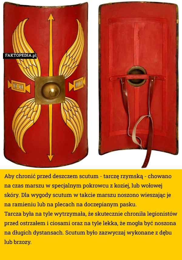 Aby chronić przed deszczem scutum - tarczę rzymską - chowano