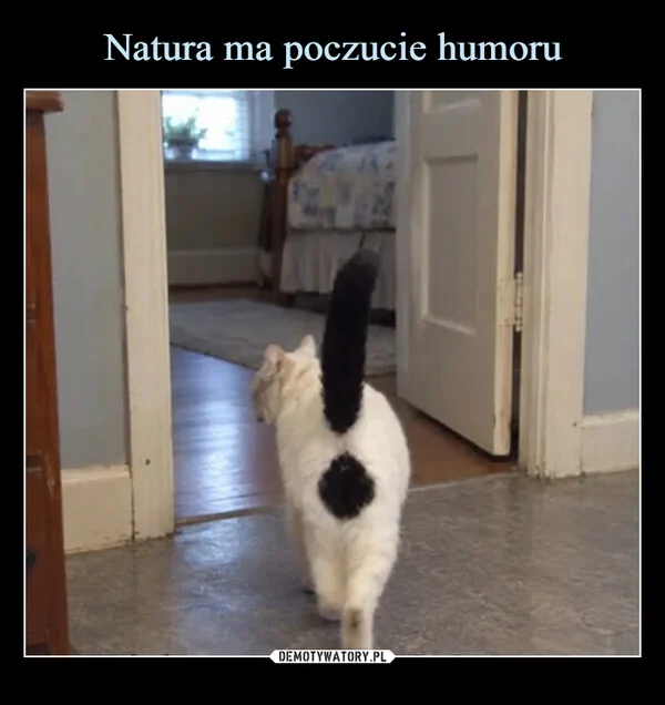 
    Natura ma poczucie humoru