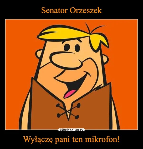 
    Senator Orzeszek Wyłączę pani ten mikrofon!