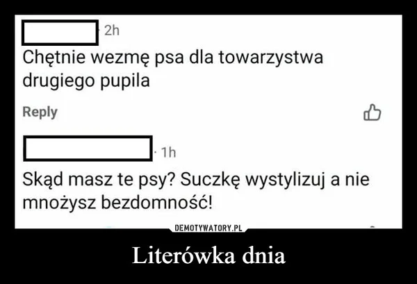 Literówka dnia