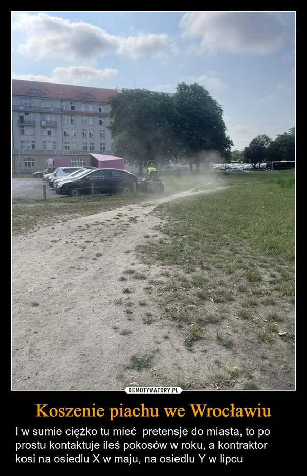 Koszenie piachu we Wrocławiu