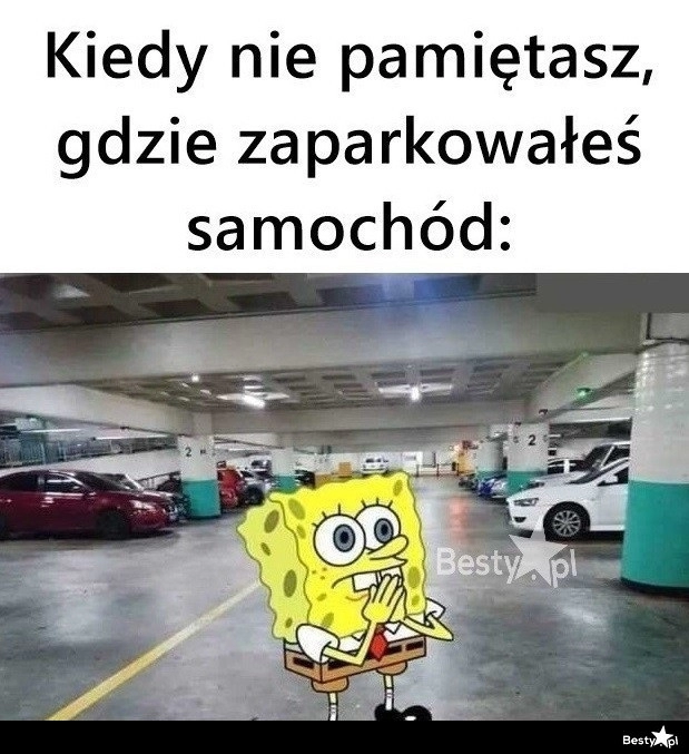 
    Tylko bez paniki 