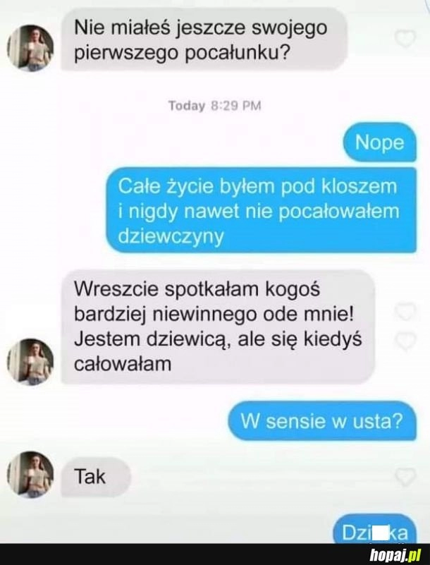 
    Pocałunek