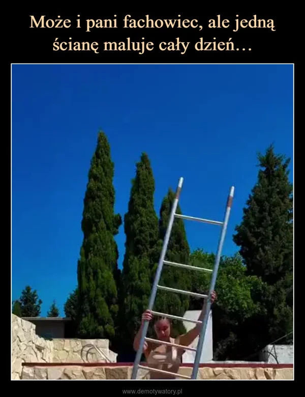
    Może i pani fachowiec, ale jedną ścianę maluje cały dzień…
