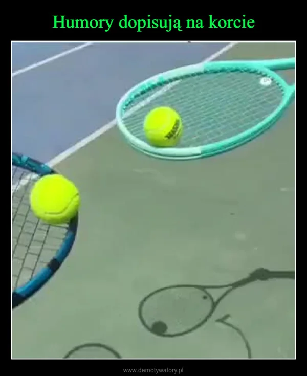 
    Humory dopisują na korcie