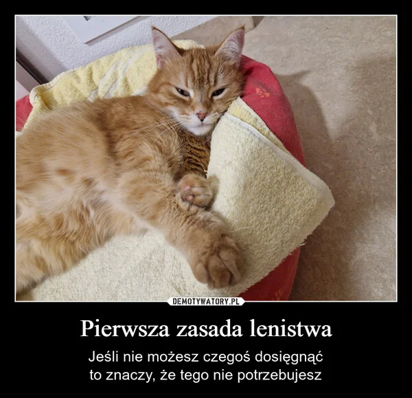 
    Pierwsza zasada lenistwa