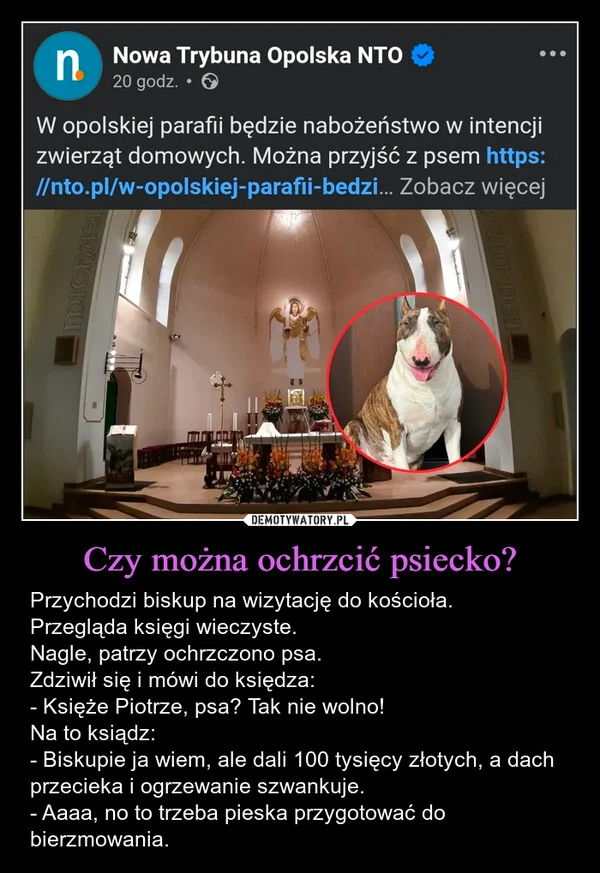 
    Czy można ochrzcić psiecko?