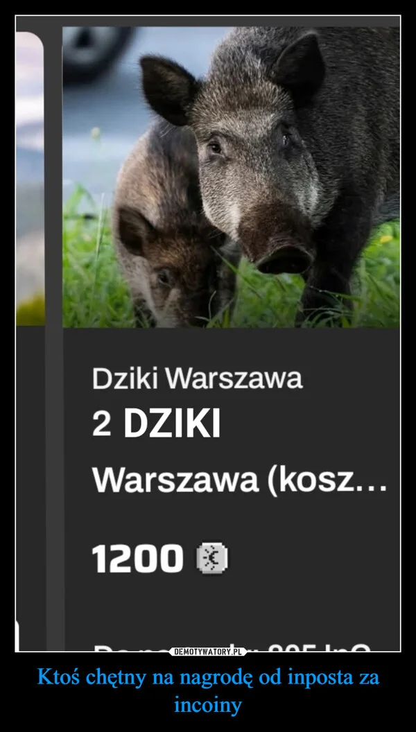 
    Ktoś chętny na nagrodę od inposta za incoiny